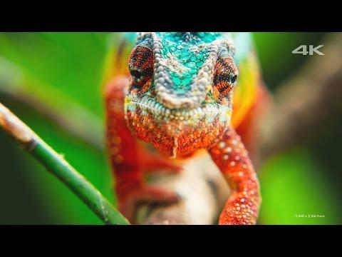 Sony 4K Demo: Another World thumbnail
