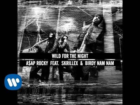 Wild For The Night - A$AP Rocky feat. Skrillex and Birdy Nam Nam thumbnail