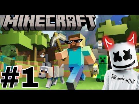 My first Minecraft gameplay video ☺️ |px gaming King gameplay video thumbnail