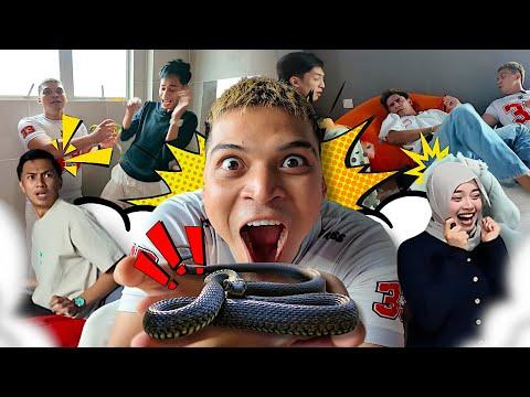 ULAR TERLEPAS DALAM OFIS !!! RINA TERKEJUT FARIDAH NANGIS!! thumbnail