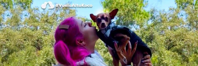 LESSLIE POLINESIA thumbnail