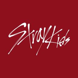 Stray Kids “PARTY’S NOT OVER” | [Stray Kids : SKZ-RECORD]｜2023 STAYweeK