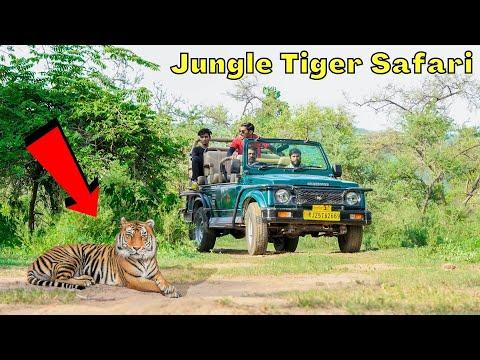 Trip To Sariska Tiger Reserve | क्या सरिस्का में बाघ / शेर मिलेगा? thumbnail