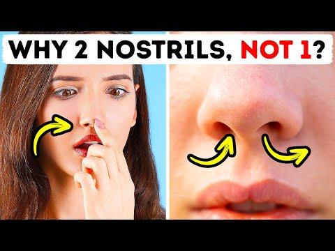 Why One Side of Your Nose Has More Airflow thumbnail