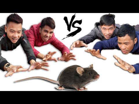 PHD | Đội Nào Bắt Được Nhiều Chuột Nhất Nhận 1000$ | Rat Trap Win 1000$ thumbnail