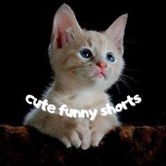 Cute Funny Shorts