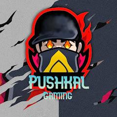 Pushkal Gaming