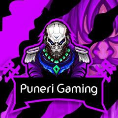 Puneri Gaming