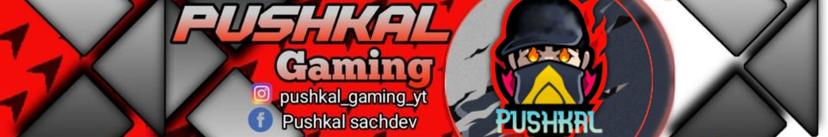 Pushkal Gaming thumbnail