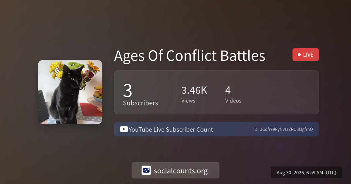 ages-of-conflict-battles-youtube-live-subscriber-count-socialcounts