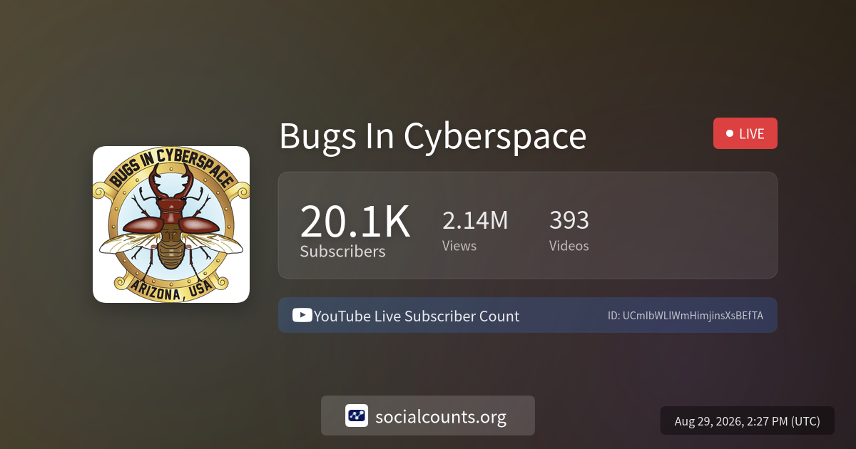 bugs-in-cyberspace-youtube-live-subscriber-count-socialcounts