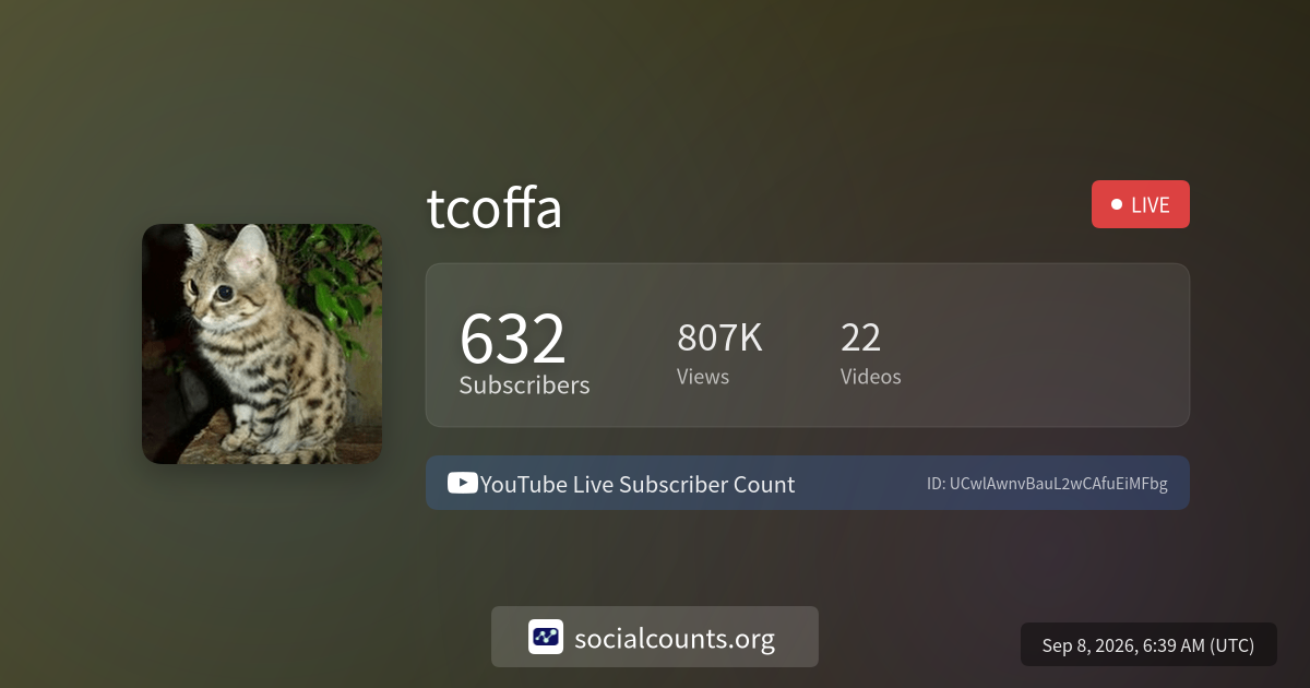 tcoffa-youtube-live-subscriber-count-socialcounts