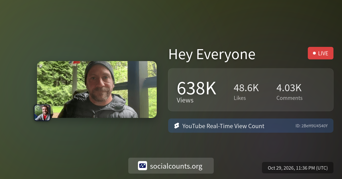 Hey Everyone | Real-Time YouTube Live View Count | SocialCounts.org