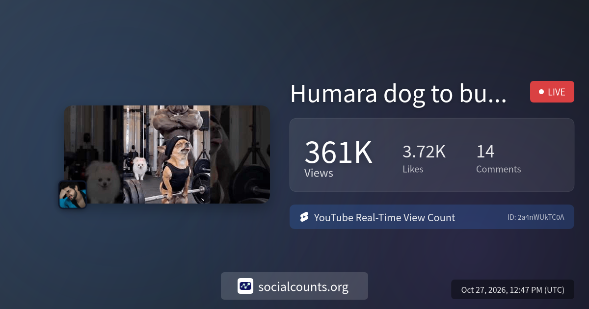 Humara dog to budy builder nikala😂#comedy #funny #exploremore #dog ...