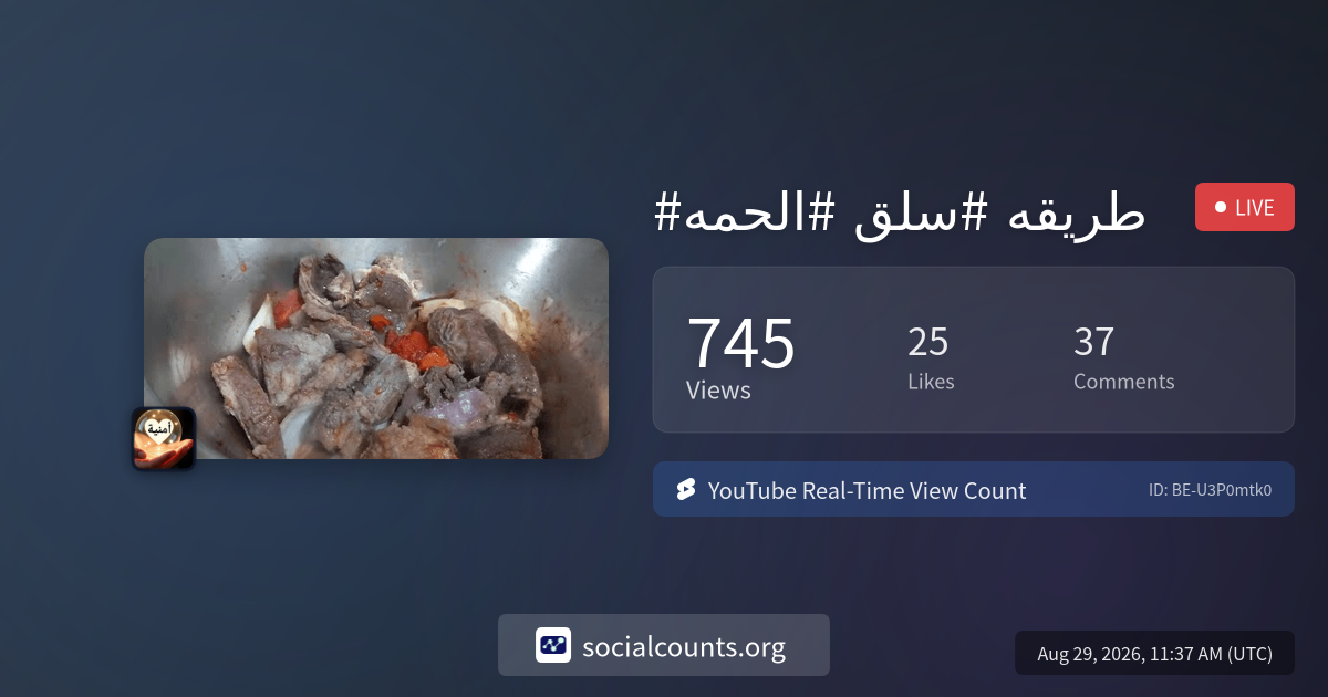 real-time-youtube-live-view-count-socialcounts