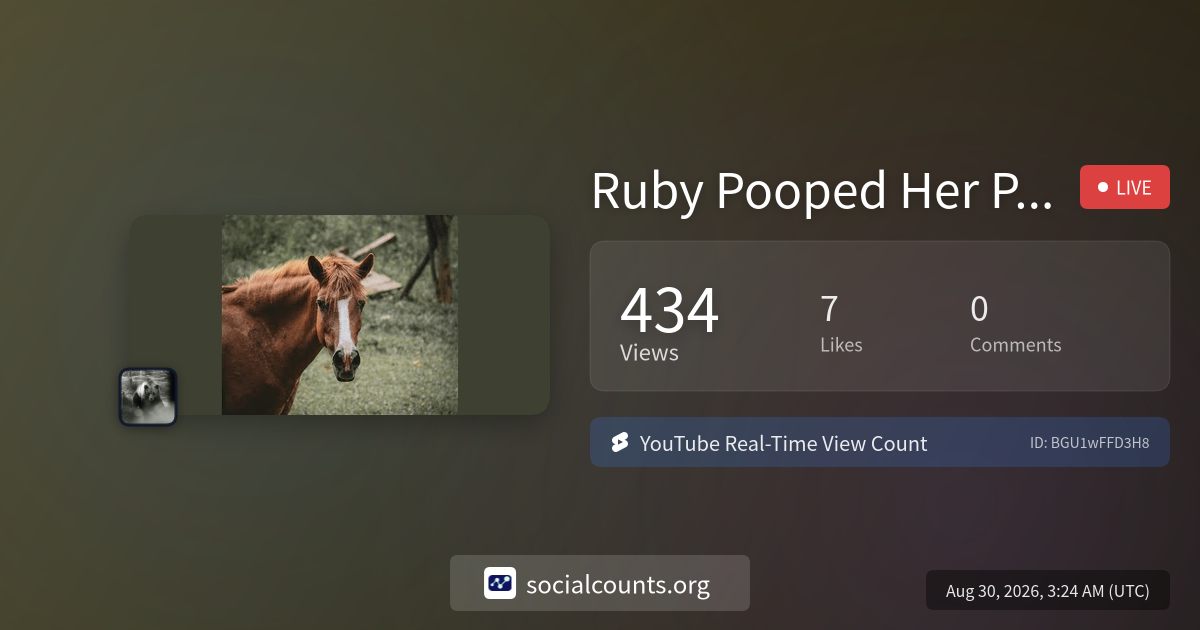 ruby-pooped-her-pants-ruby-poop-real-time-youtube-live-view-count