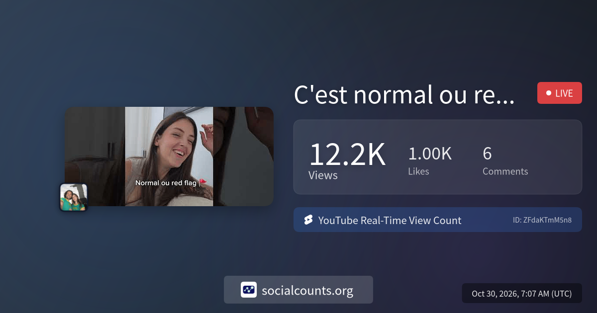 C'est normal ou red flag? | Real-Time YouTube Live View Count ...