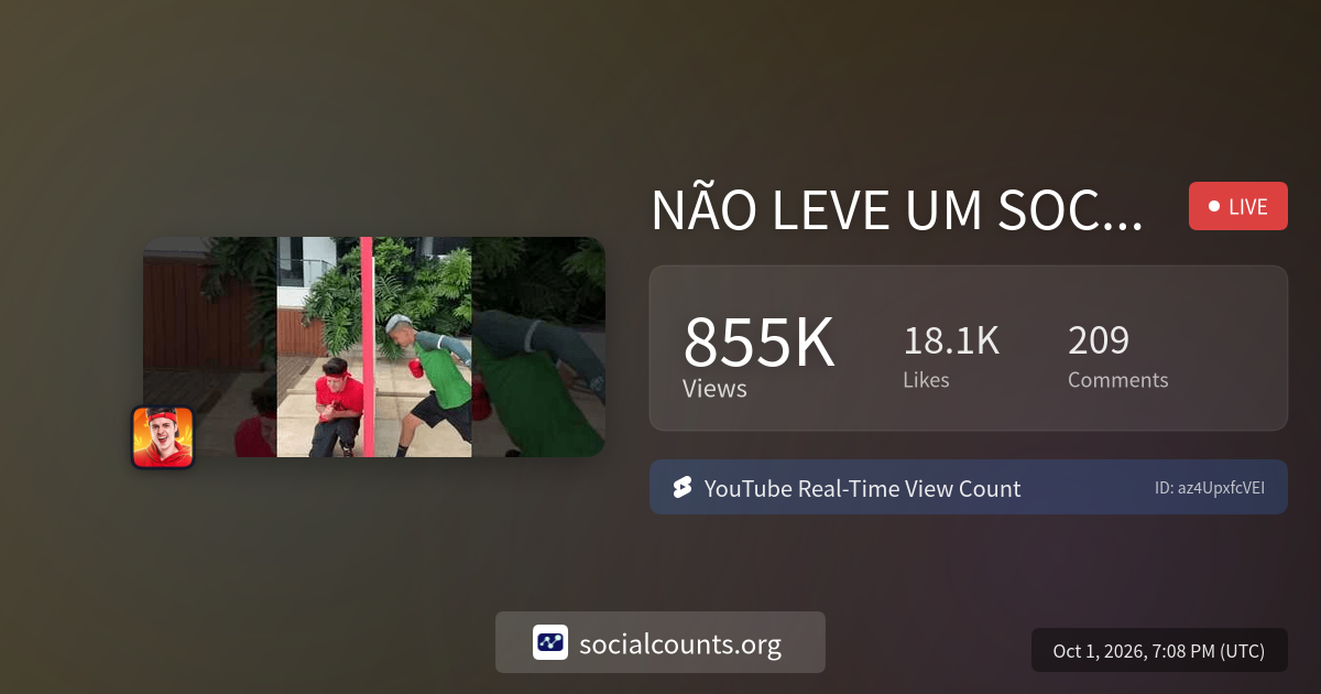 NÃO LEVE UM SOCO! #shorts | Real-Time YouTube Live View Count ...